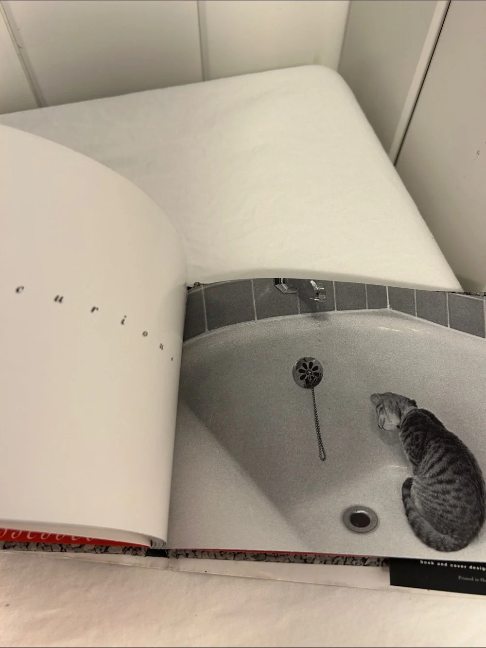 90s cat book What Cats Are cat photography book 1990s black and white art photos